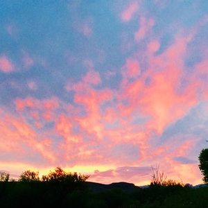 Meet your Posher, Carmen